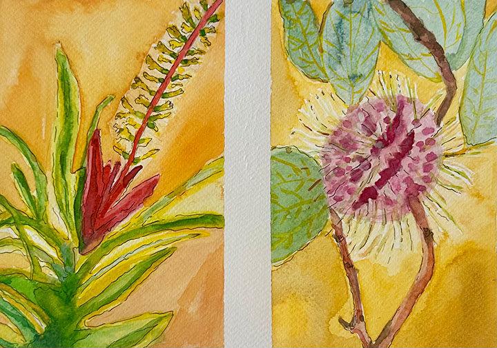 colored diptych of plants